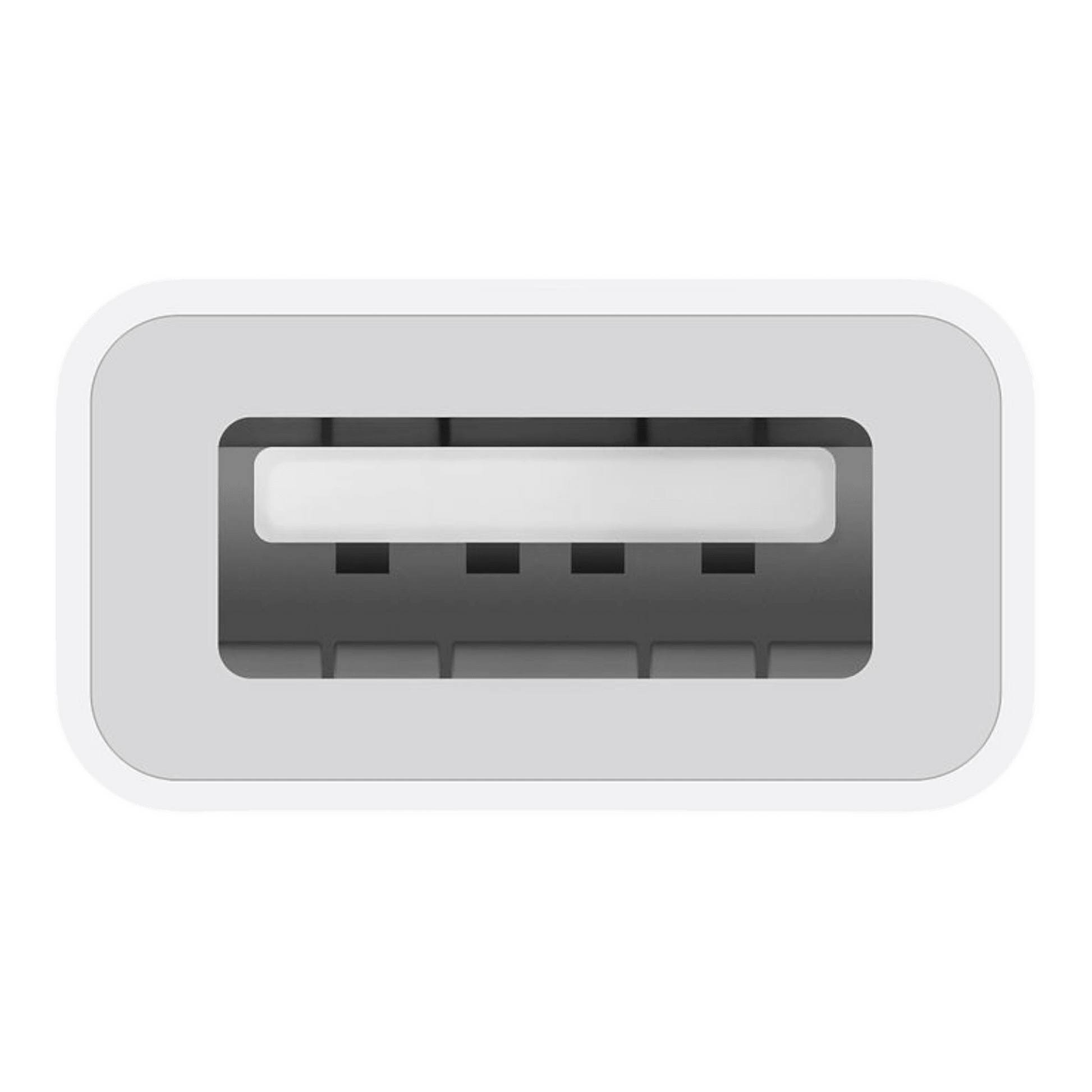 USB-C to USB Adapter - alAsil