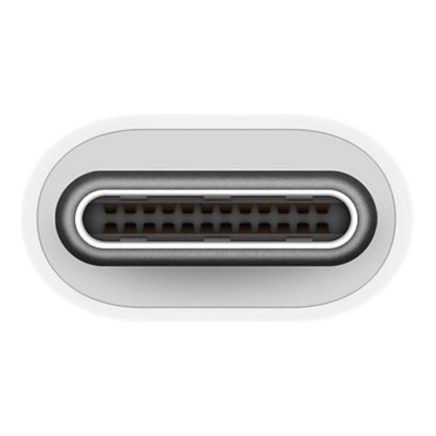 USB-C to USB Adapter - alAsil USB-C to USB Adapter (M1JM2) 45676e-4.myshopify.com Apple USB-C to USB Adapter (M1JM2) 45676e-4.myshopify.com Apple