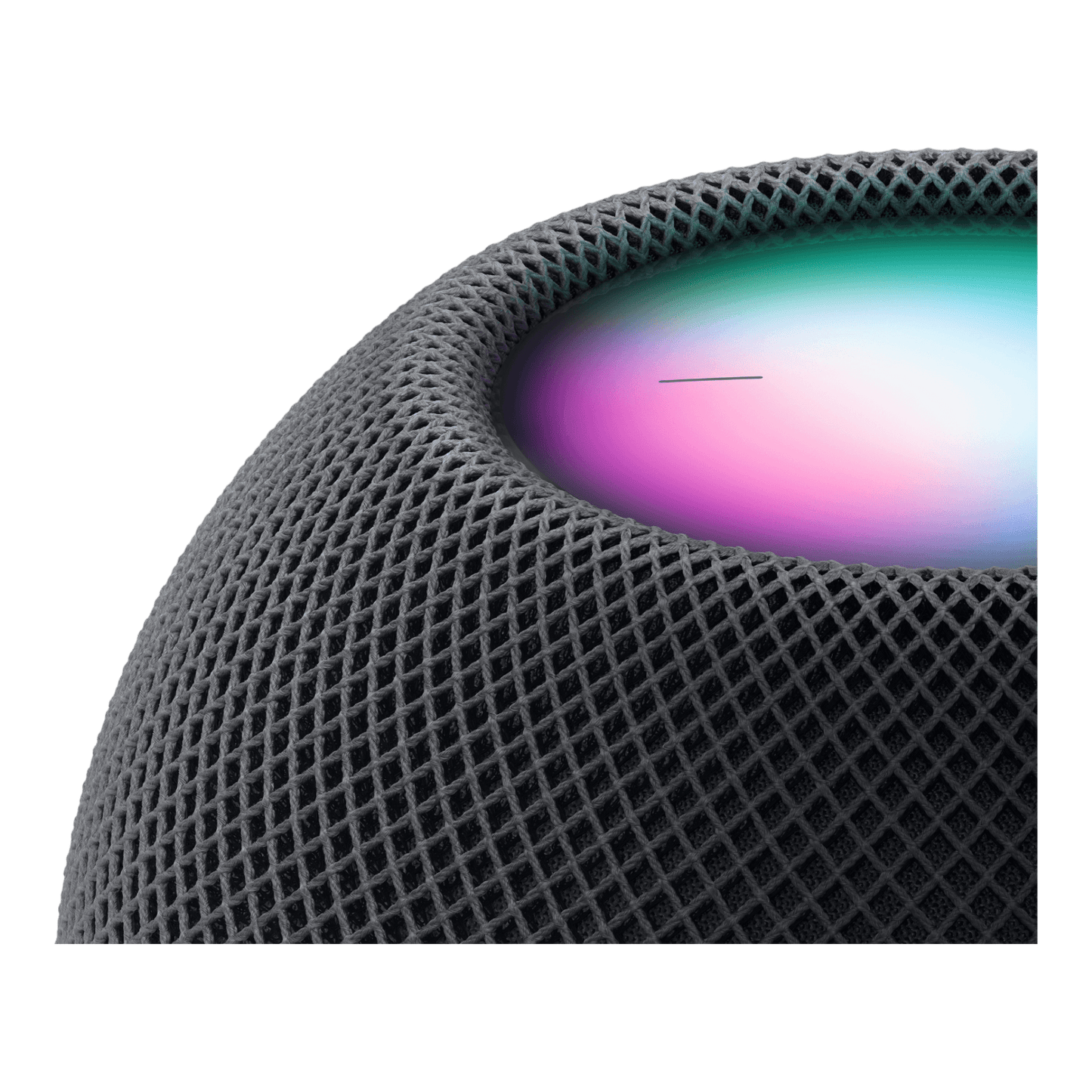 HomePod mini Space Gray - alAsil