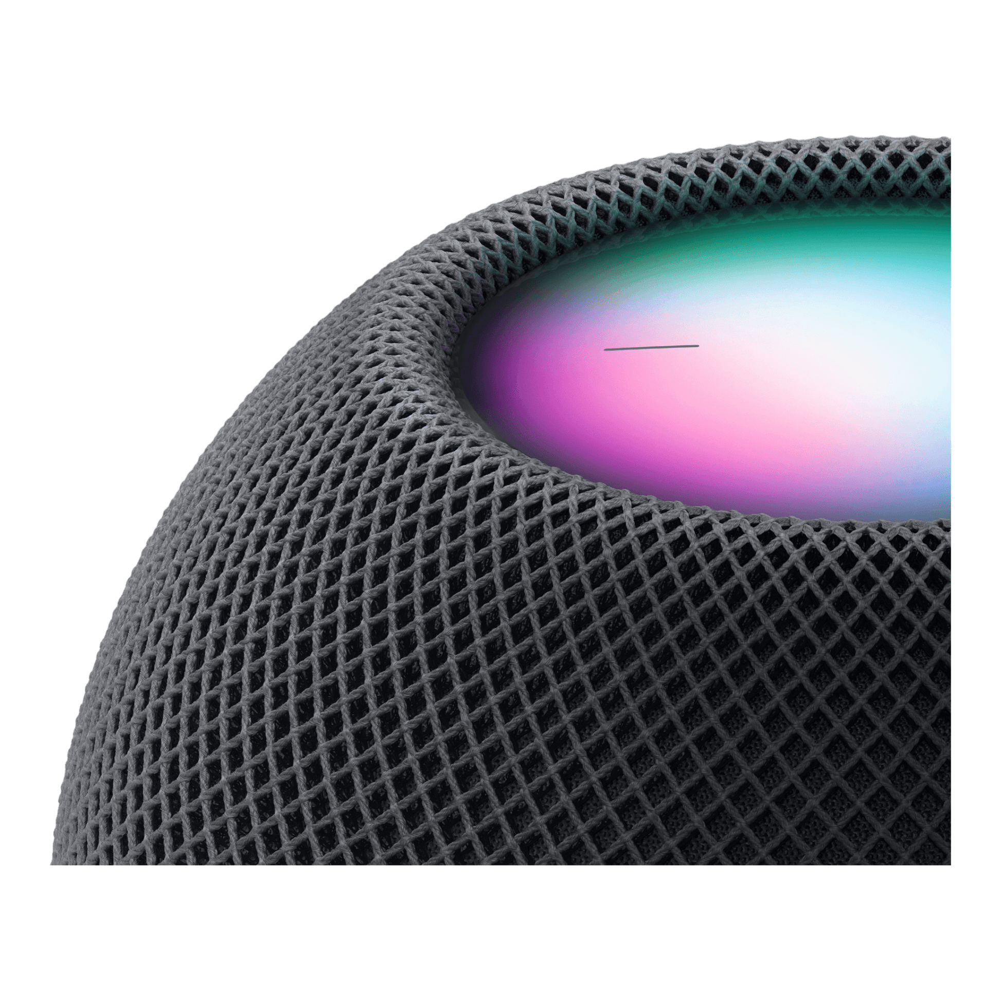 HomePod mini Space Gray - alAsil