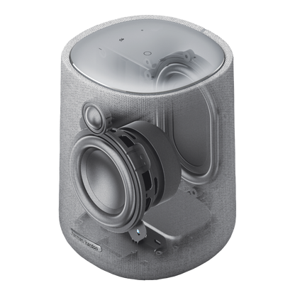 Harman Kardon Citation ONE Gray - alAsil