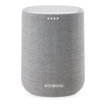 Harman Kardon Citation ONE Gray
