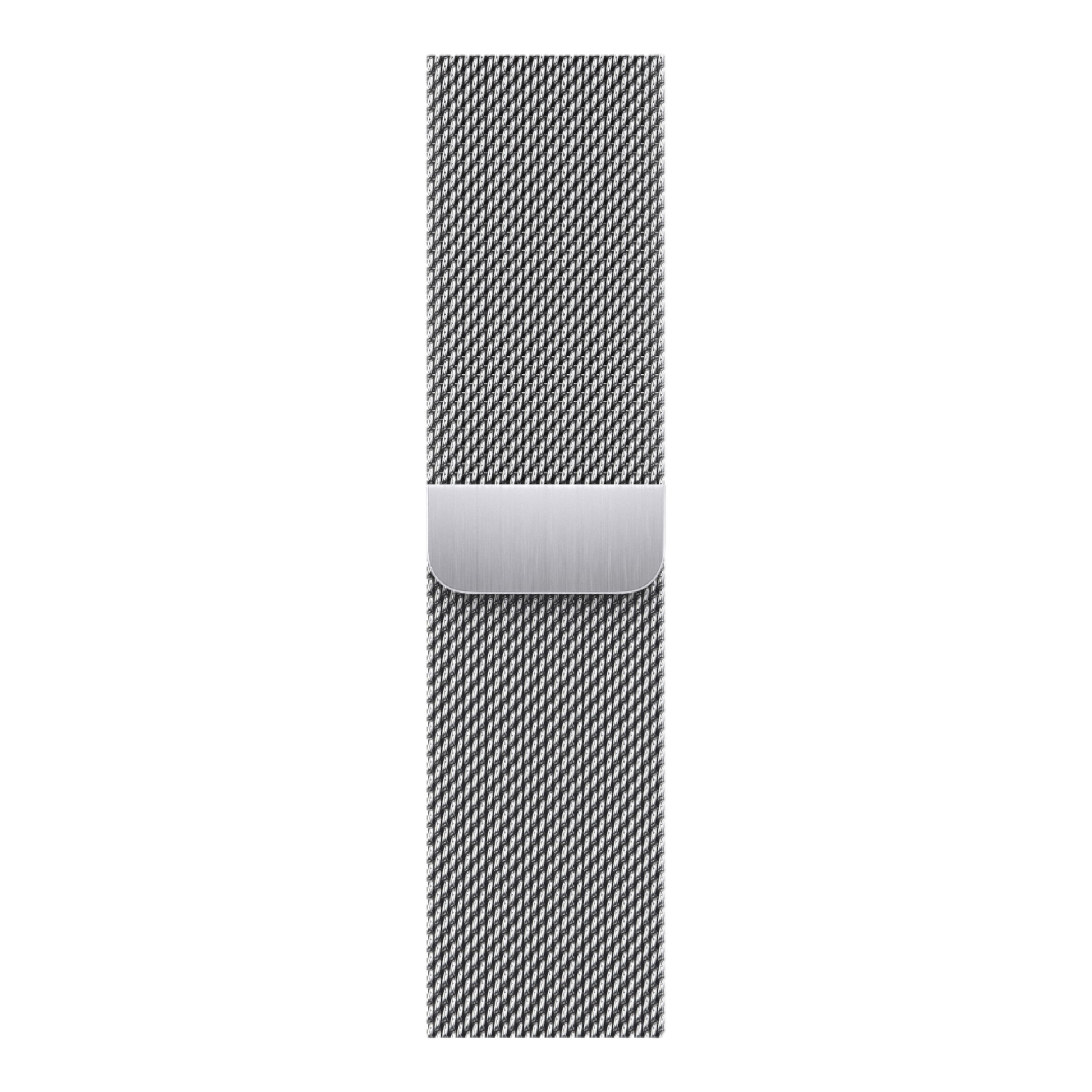 Apple Watch Series 9 GPS + Cellular, 41mm Silver Stainless Steel Case with Silver Milanese Loop - alAsil