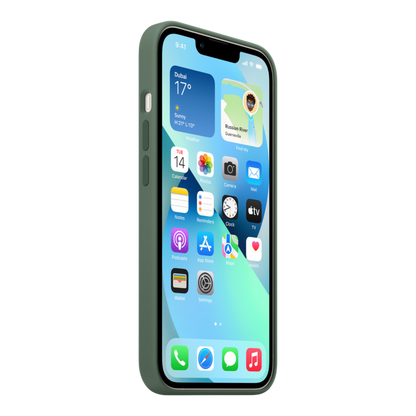 iPhone 13 Silicone Case with MagSafe - Eucalyptus - alAsil