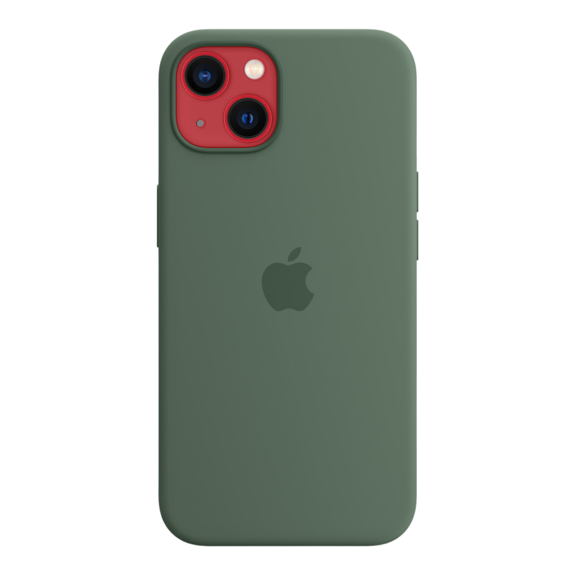 iPhone 13 Silicone Case with MagSafe - Eucalyptus - alAsil