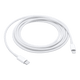 USB-C to Lightning Cable (2M) (MQGH2)