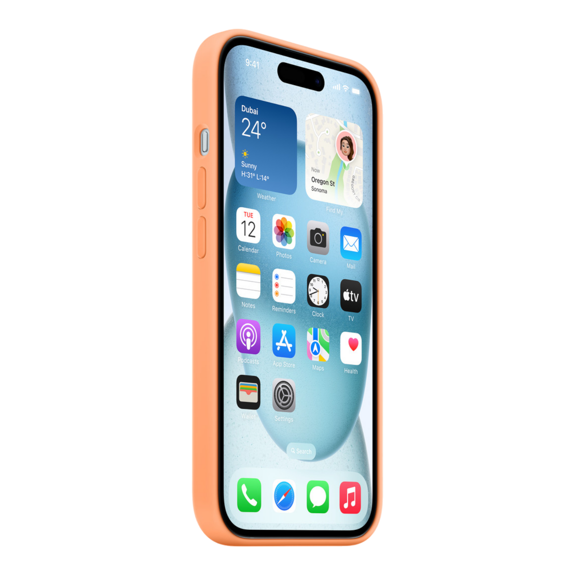 iPhone 15 Silicone Case with MagSafe - Orange Sorbet - alAsil