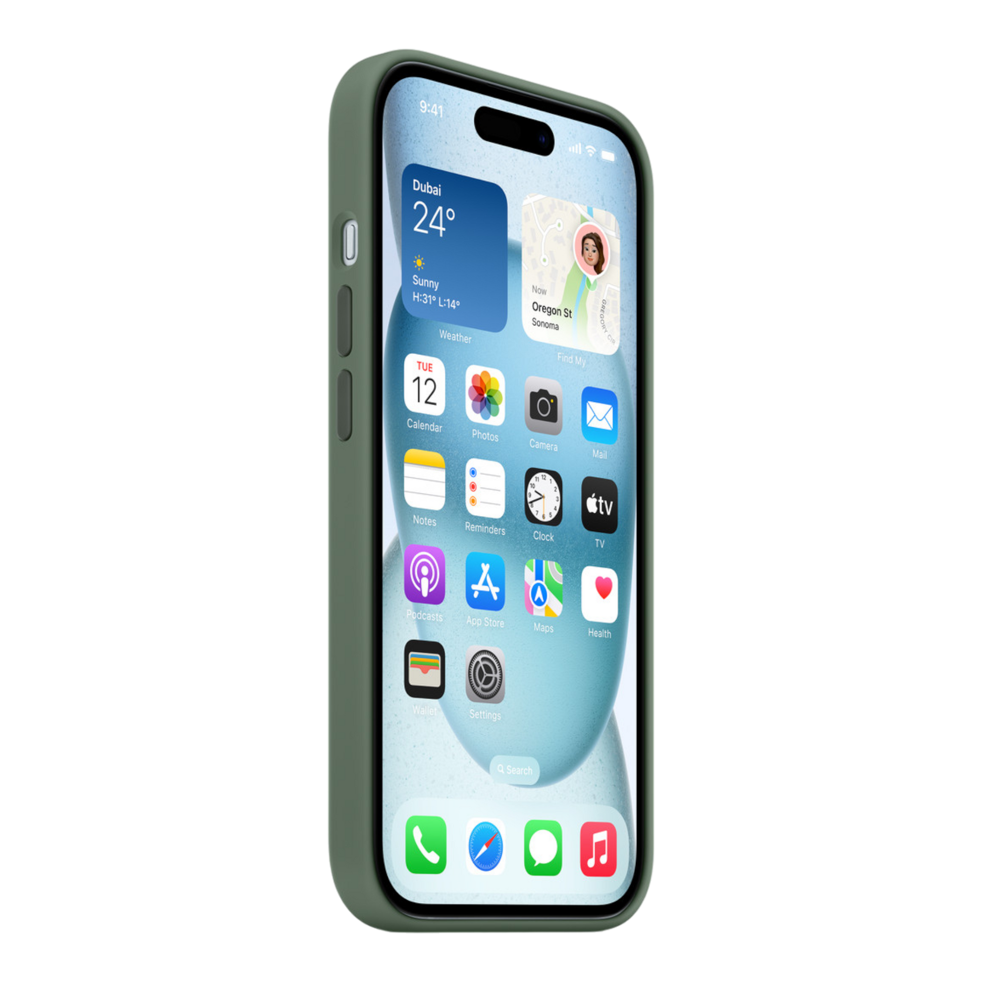 iPhone 15 Silicone Case with MagSafe - Cypress - alAsil