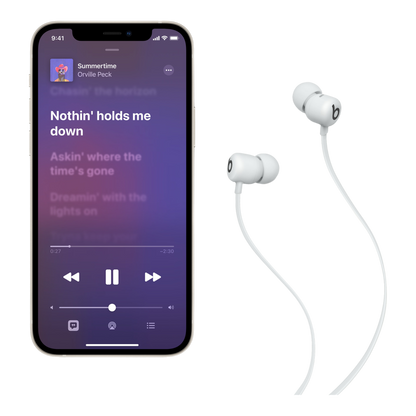 Beats Flex – All-Day Wireless Earphones - Smoke Gray - alAsil
