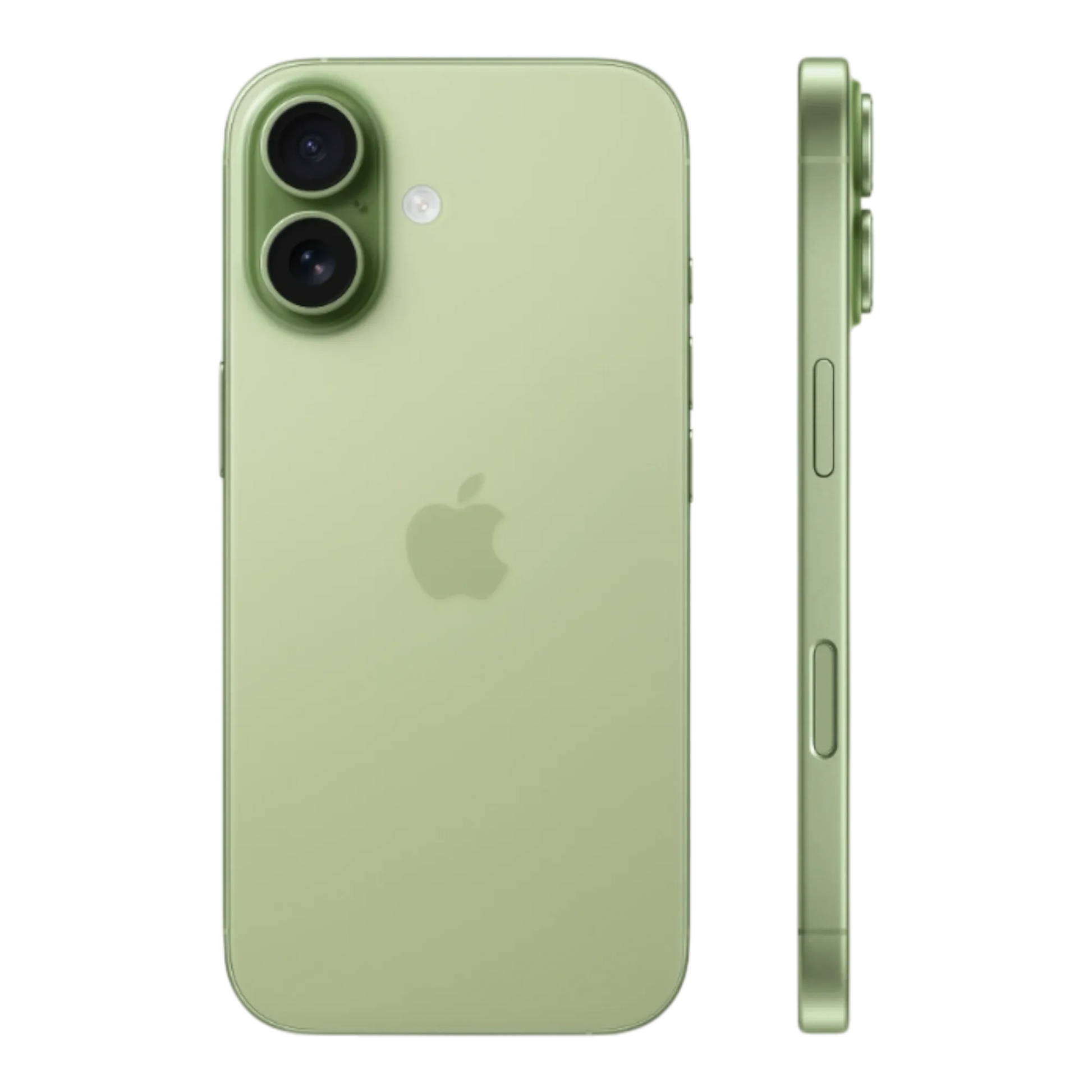 iPhone 17 256GB Sage With FaceTime 45676e-4.myshopify.com Apple iPhone 17 256GB Sage With FaceTime 45676e-4.myshopify.com Apple