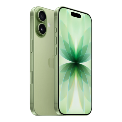 iPhone 17 256 GB Sage With FaceTime - International Version